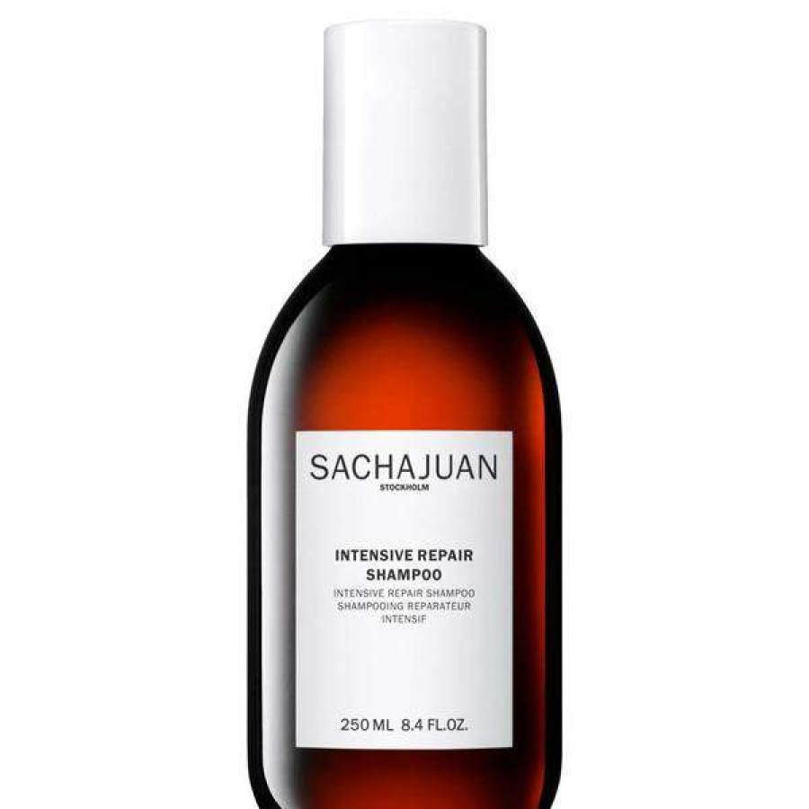 Hair Care * | Sachajuan Intensive Repair Shampoo (250Ml) Crazy Deals